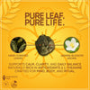 Organic Jasmine Pearls Loose Leaf Tea, 4.4 oz Bag