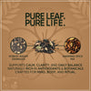 Traditional Masala Indian Chai, Loose Leaf Tea, 1 Pound