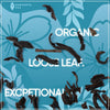 Organic English Breakfast Loose Leaf Tea, 1 Lb Bag